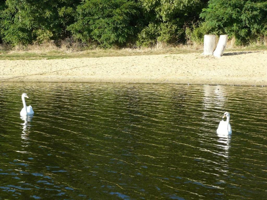 Osrodek Wypoczynkowy Sielawa Vila Chrzypsko Wielkie Exterior foto